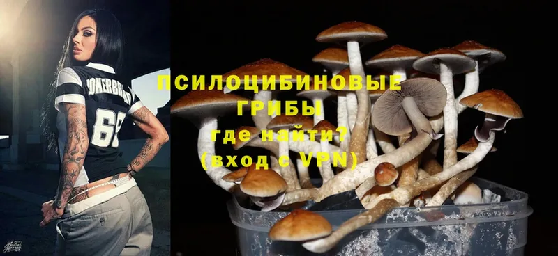 Псилоцибиновые грибы Cubensis  цены наркотик  Жирновск 